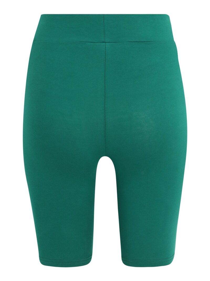 Cumpăra FILA Leggings  verde / sângeriu / alb