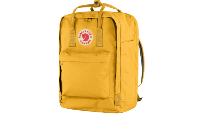 Fjällräven Kånken Laptop 17" preţ