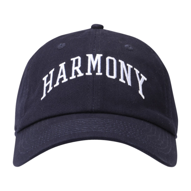 Harmony Paris Șapcă 'ASHTON'  bleumarin / alb