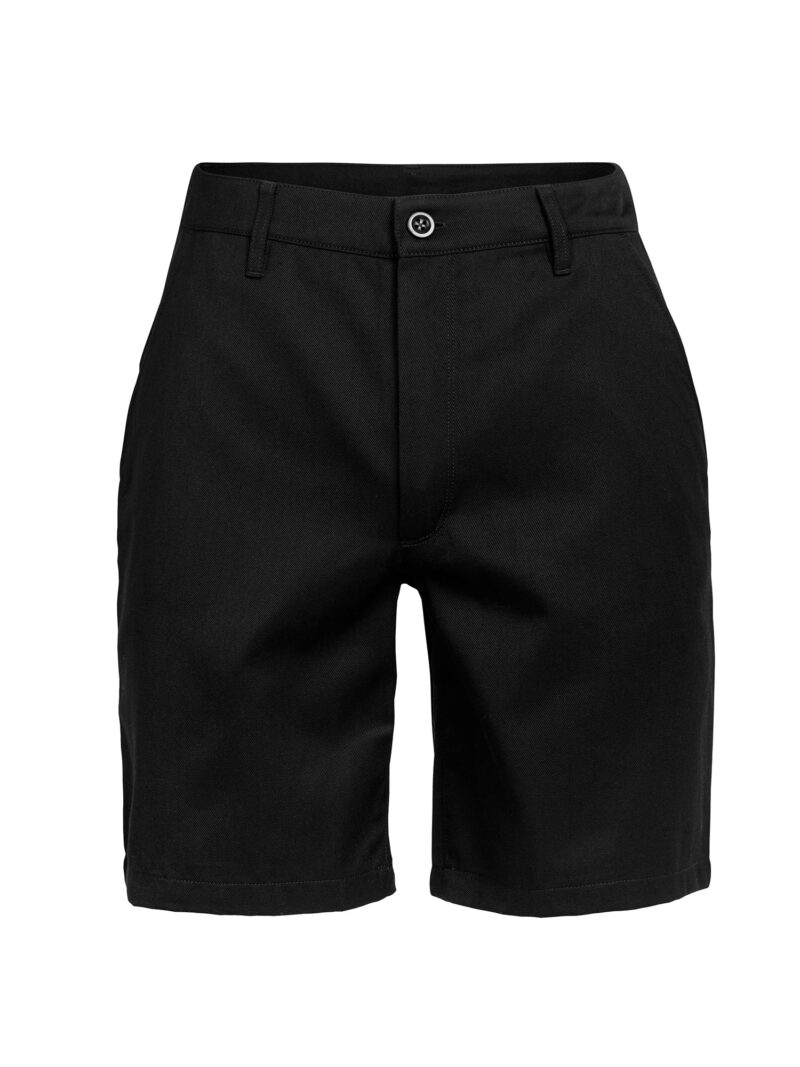 ICEBREAKER Pantaloni outdoor 'Berlin'  negru