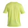 ICEBREAKER Tricou 'Energy Wind'  verde amestecat