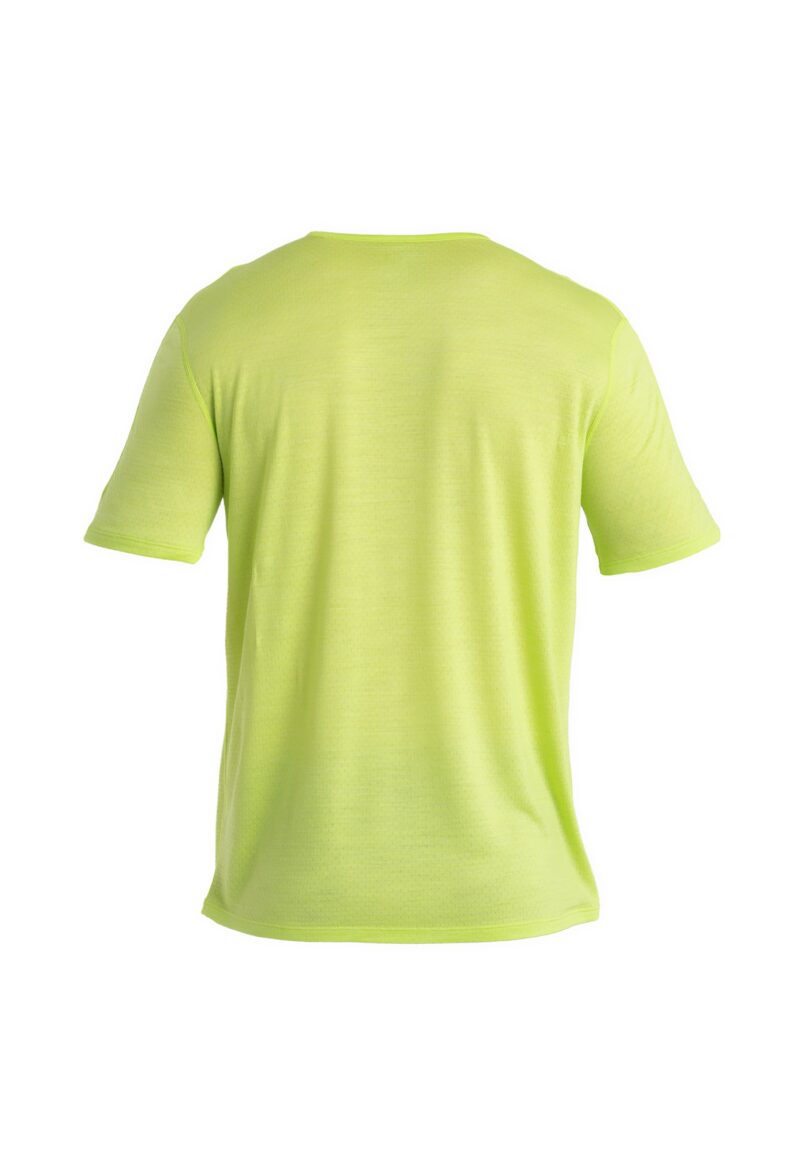 ICEBREAKER Tricou 'Energy Wind'  verde amestecat