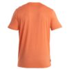 ICEBREAKER Tricou funcțional 'Tech Lite III'  gri / portocaliu / portocaliu pastel