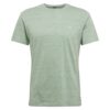 Iriedaily Tricou 'Chamisso'  verde mentă
