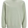 JACK & JONES Bluză de molton 'COLLECTIVE'  verde pastel