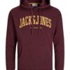 JACK & JONES Bluză de molton 'JJEJosh'  galben curry / roșu vin