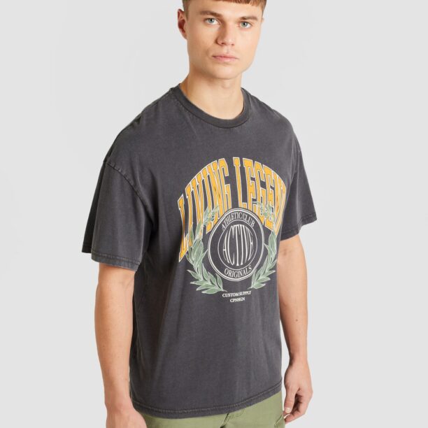 JACK & JONES Tricou 'LEGEND'  galben curry / gri închis / verde pastel / alb