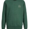 Jack & Jones Junior Bluză de molton 'Jerry'  galben / verde închis / alb