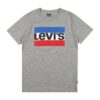 Levi's Kids Tricou  albastru regal / gri amestecat / roșu intens / negru