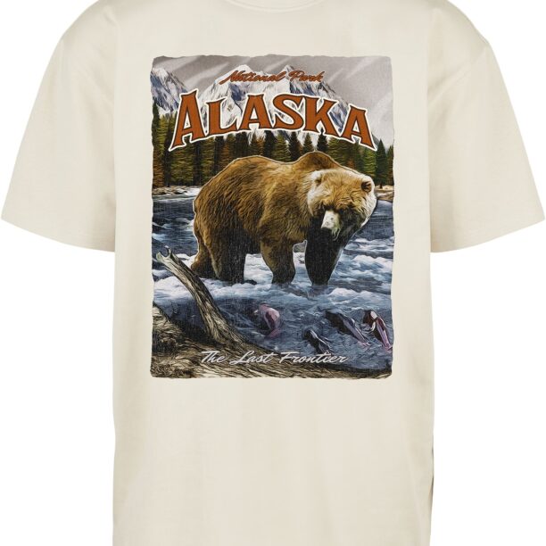 Mister Tee Tricou 'Alaska'  ecru / albastru deschis / maro deschis / roșu