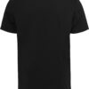 Mister Tee Tricou 'Fly-Mingo'  gri / roz deschis / negru / alb murdar