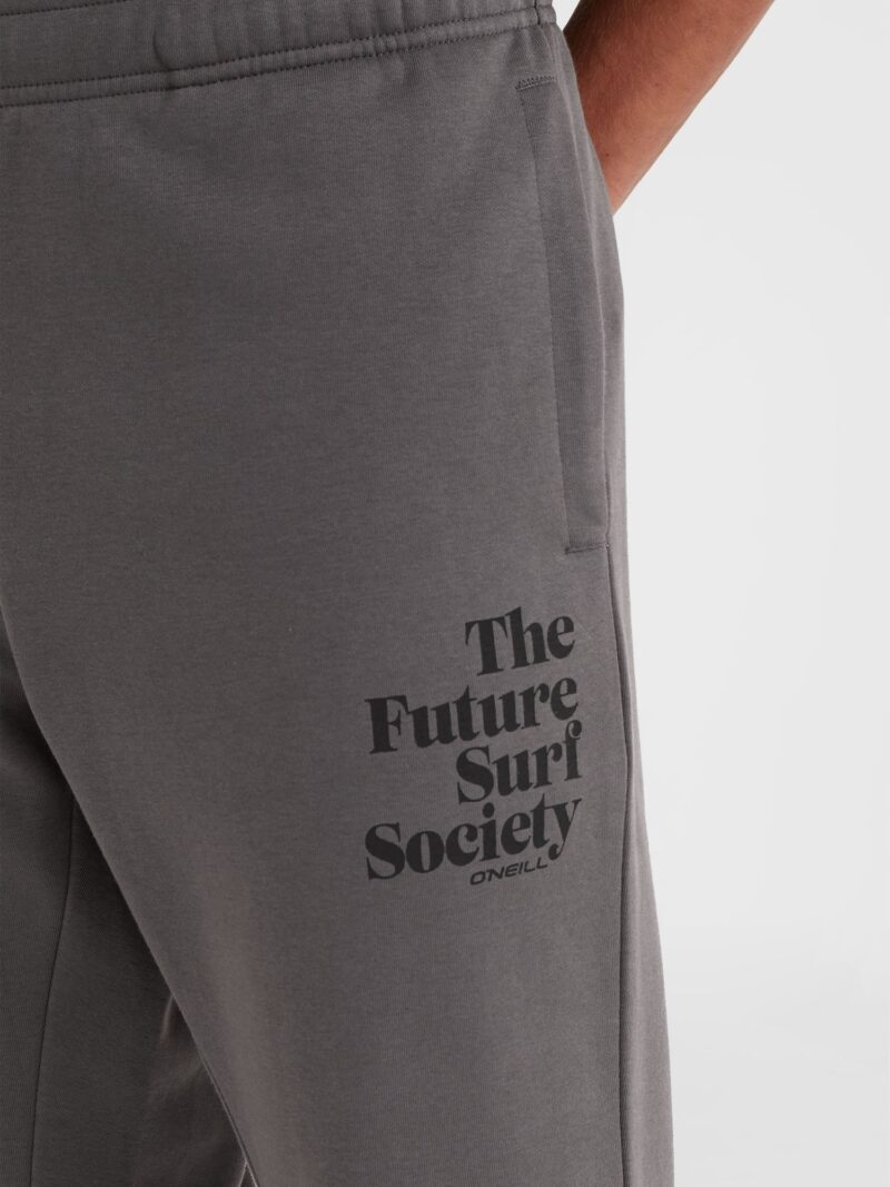 Preţ O'NEILL Pantaloni 'Future Surf Society'  gri închis / negru