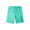 O'NEILL Pantaloni sport  verde / negru