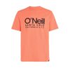 O'NEILL Tricou 'Cali'  corai / negru