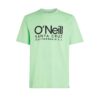 O'NEILL Tricou 'Cali'  verde pastel / negru