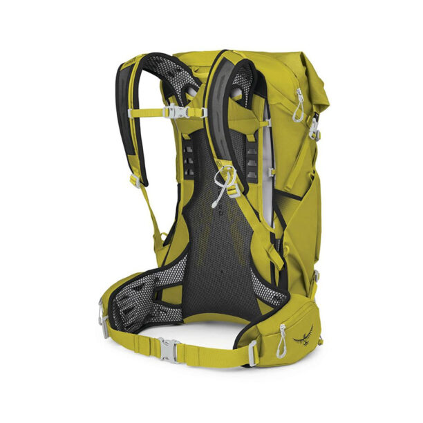 Cumpăra Osprey Downburst 36 Mens Babylonica Yellow