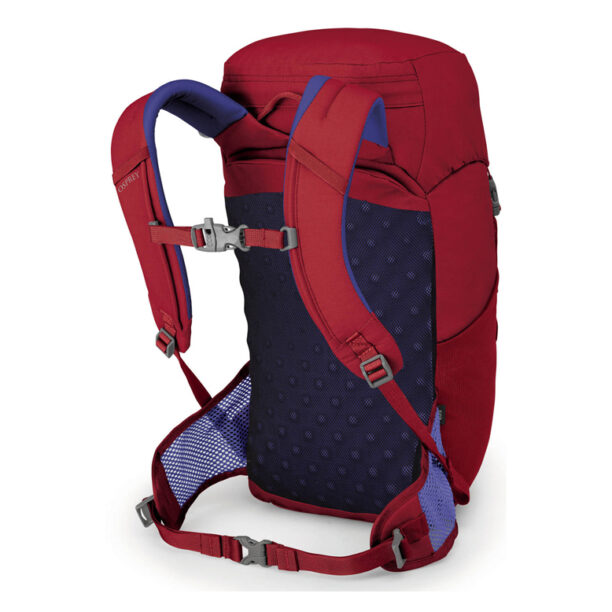 Osprey Jet 18 II Cosmic Red preţ