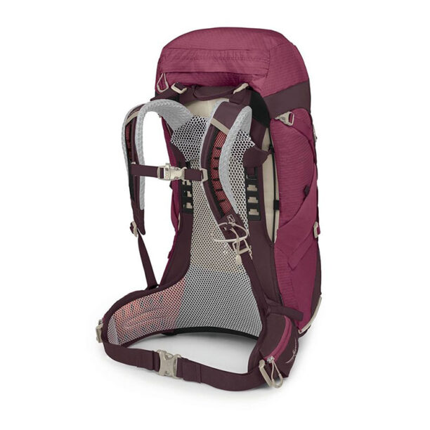 Osprey Sirrus 36 II Elderberry Purple preţ