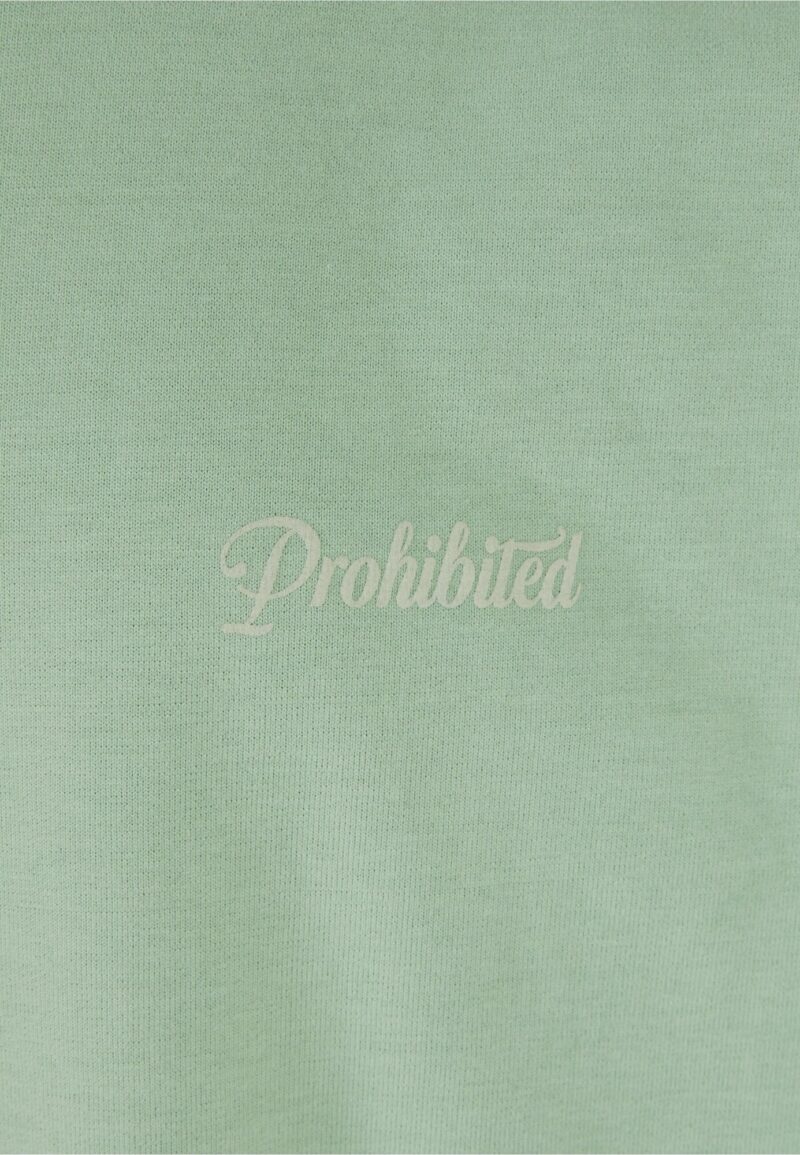 Preţ Prohibited Tricou '10119'  verde / verde pastel