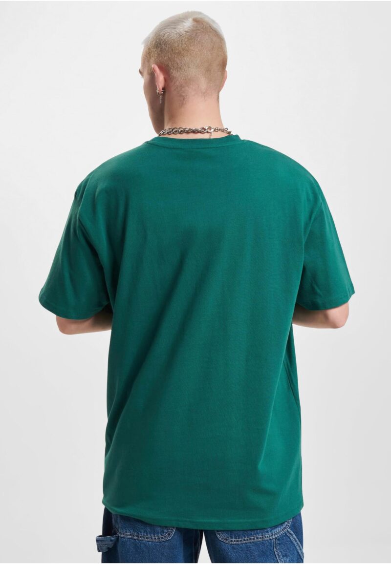 Cumpăra ROCAWEAR Tricou 'ExcuseMe'  verde / alb