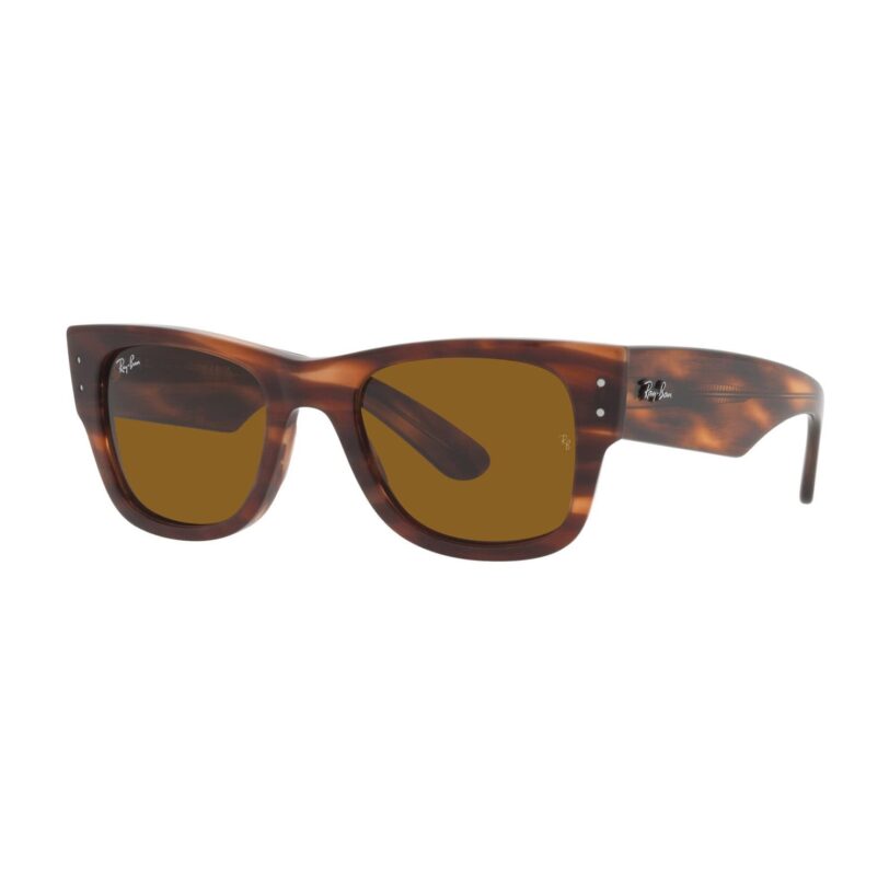 Ray-Ban Ochelari de soare '0RB0840S51901/31'  maro / maro coniac