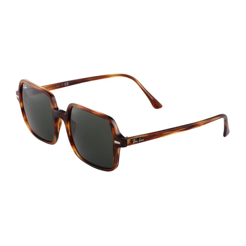 Ray-Ban Ochelari de soare '0RB1973'  maro