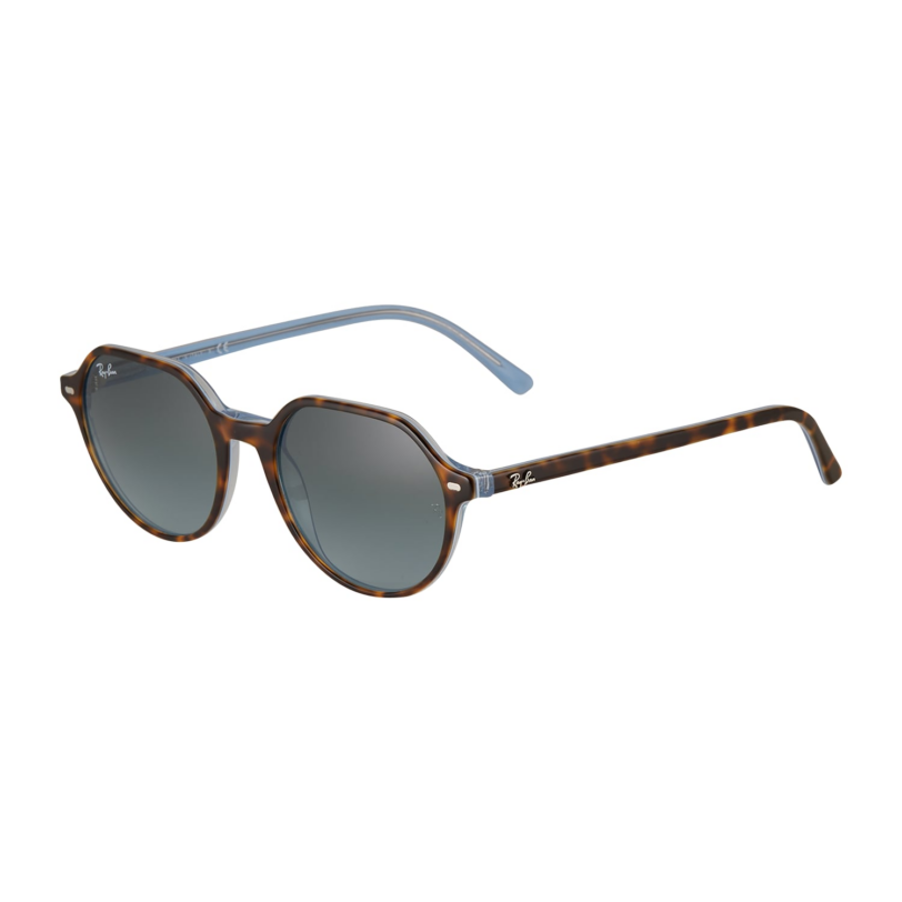 Ray-Ban Ochelari de soare '0RB2195'  maro / negru