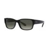 Ray-Ban Ochelari de soare '0RB438855601/71'  negru