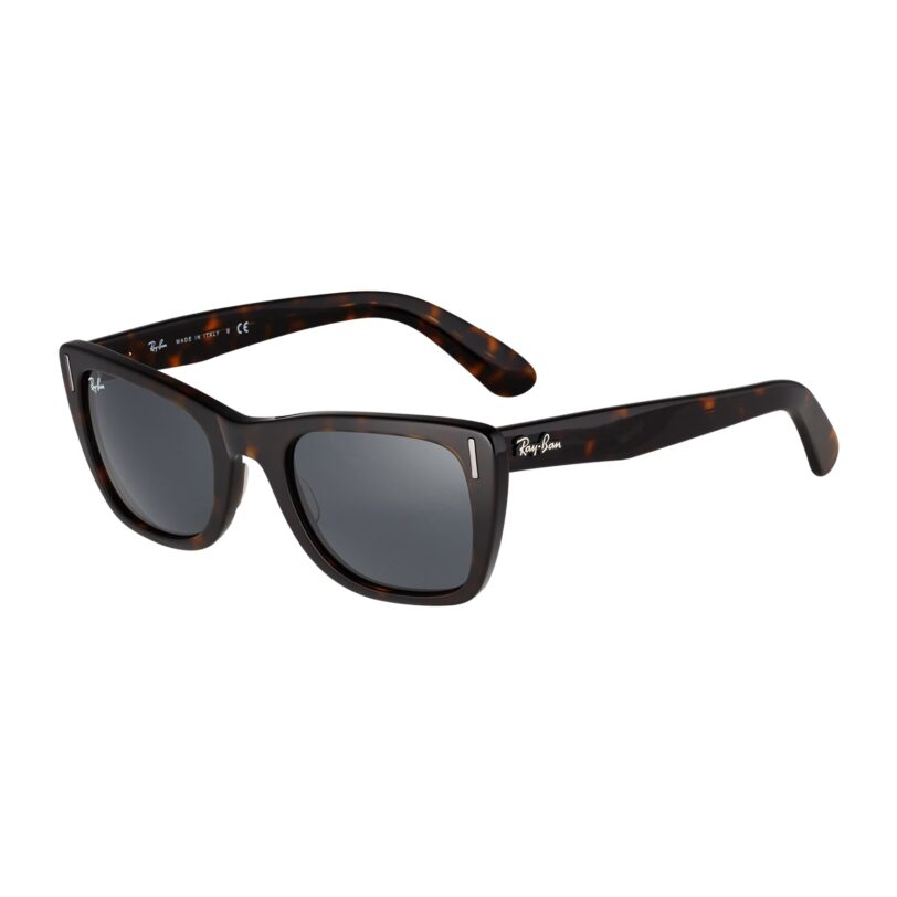 Ray-Ban Ochelari de soare  maro / maro închis