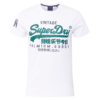 Superdry Tricou  albastru deschis / verde jad / alb