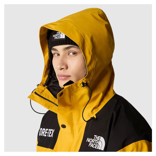 Original The North Face M Gore-Tex Mountain Jacket