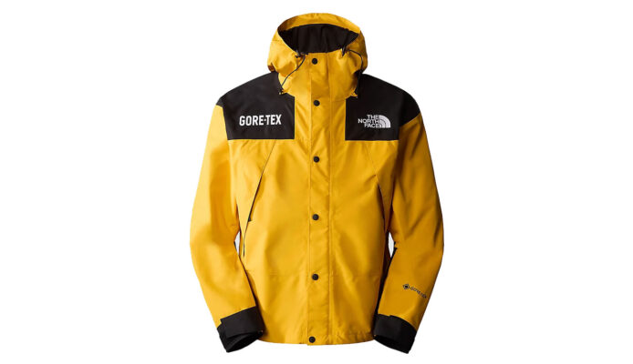 The North Face M Gore-Tex Mountain Jacket