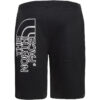 The North Face M Graphic Short Light