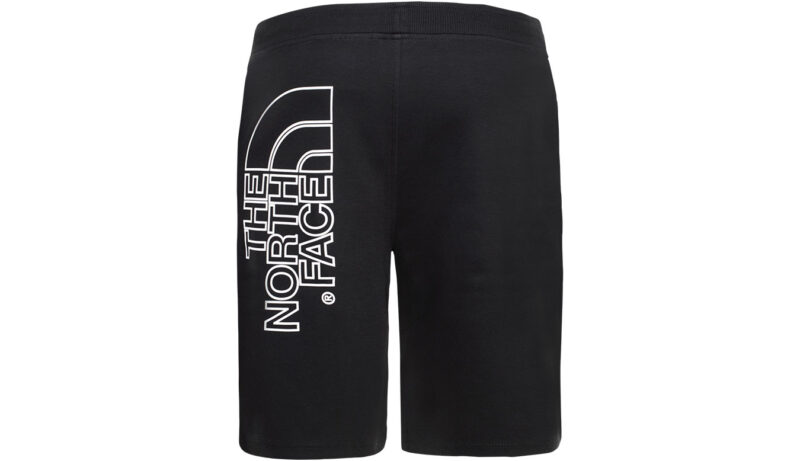 The North Face M Graphic Short Light