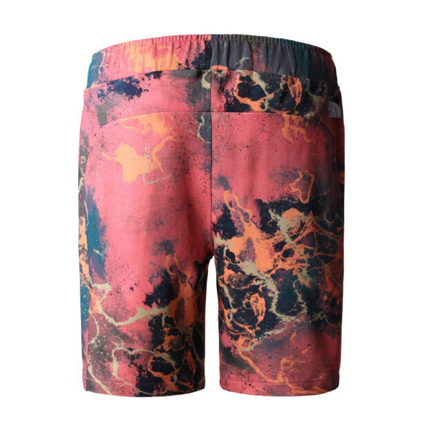 The North Face M Summer Logo Shorts preţ