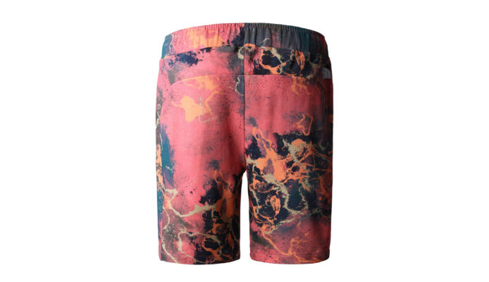 The North Face M Summer Logo Shorts preţ