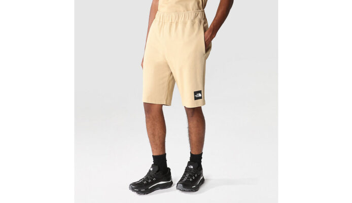 Cumpăra The North Face M Summer Logo Shorts