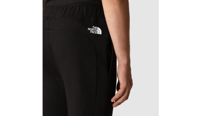 Original The North Face M Summer Logo Shorts