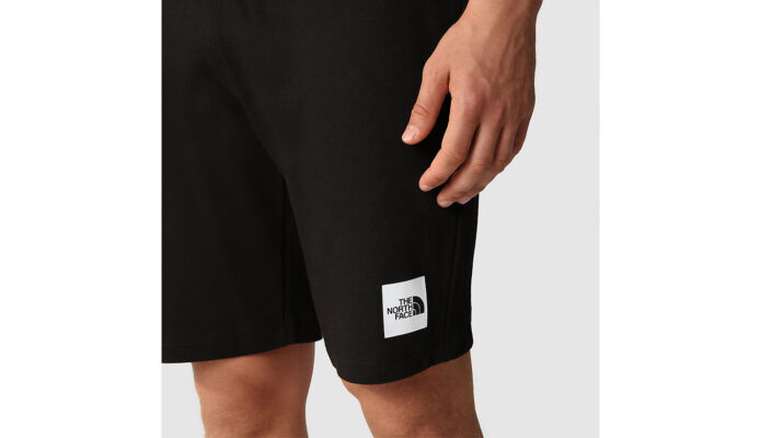 The North Face M Summer Logo Shorts - imagine 6