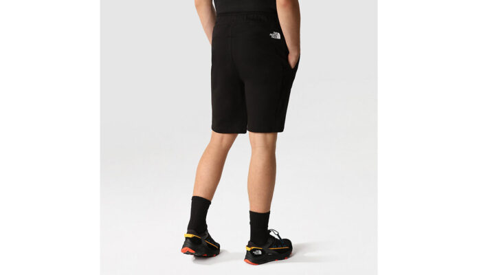 The North Face M Summer Logo Shorts - imagine 7