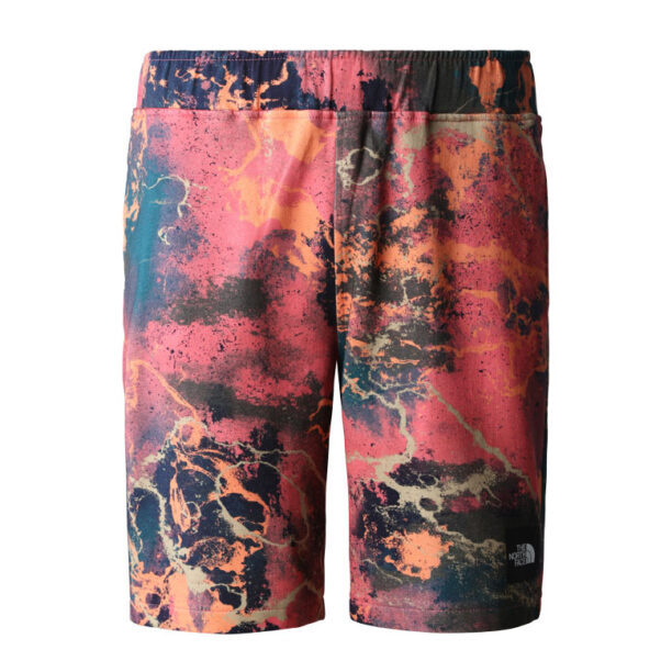 The North Face M Summer Logo Shorts