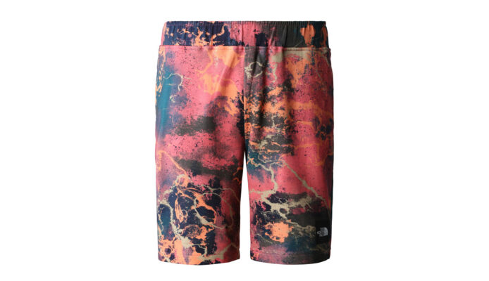 The North Face M Summer Logo Shorts