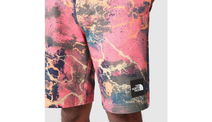 The North Face M Summer Logo Shorts - imagine 8