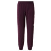 The North Face W Tekwr Fleece Pant