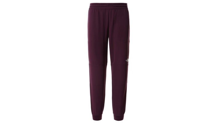 The North Face W Tekwr Fleece Pant