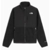 The North Face Women’s Denali Jacket