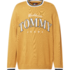 Tommy Jeans Pulover 'VARSITY'  albastru închis / galben curry / alb