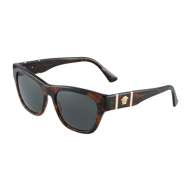 VERSACE Ochelari de soare '0VE4457 55'  maro / auriu / negru