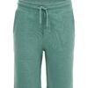 WE Fashion Pantaloni  verde