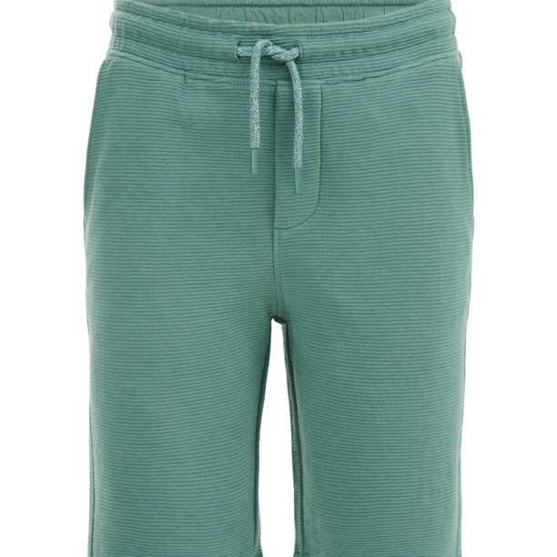 WE Fashion Pantaloni  verde